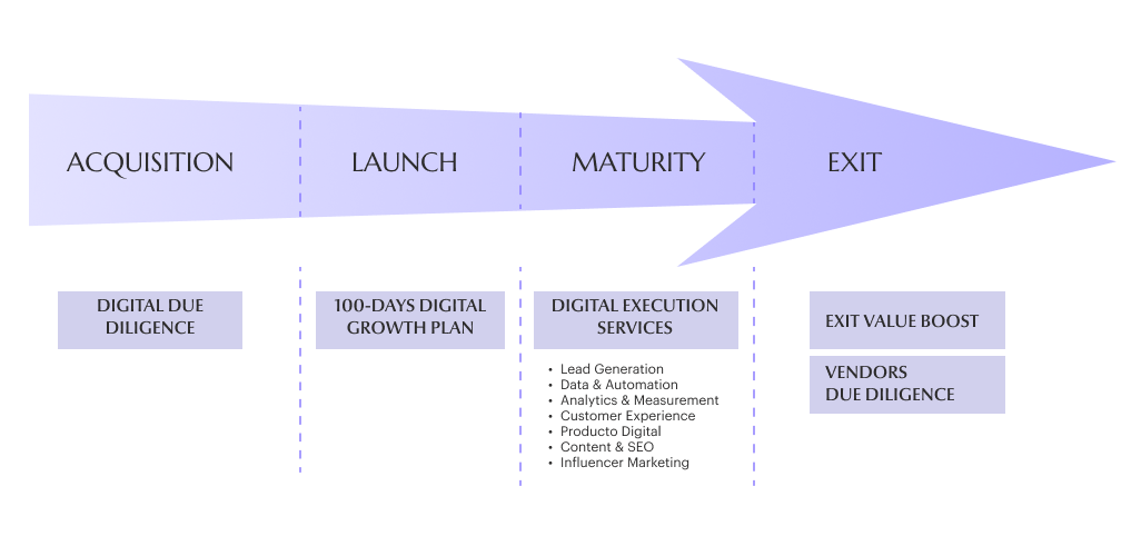 social media plus web